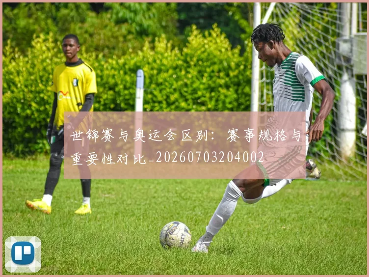 世锦赛与奥运会区别:赛事规格与重要性对比_20260703204002