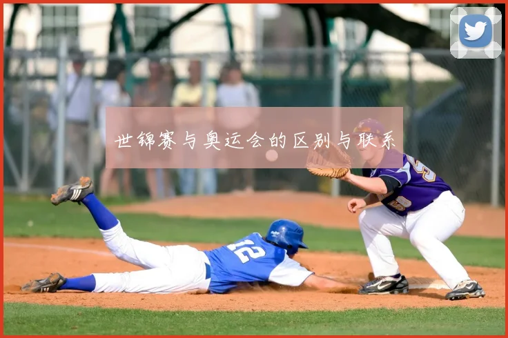 世锦赛与奥运会的区别与联系