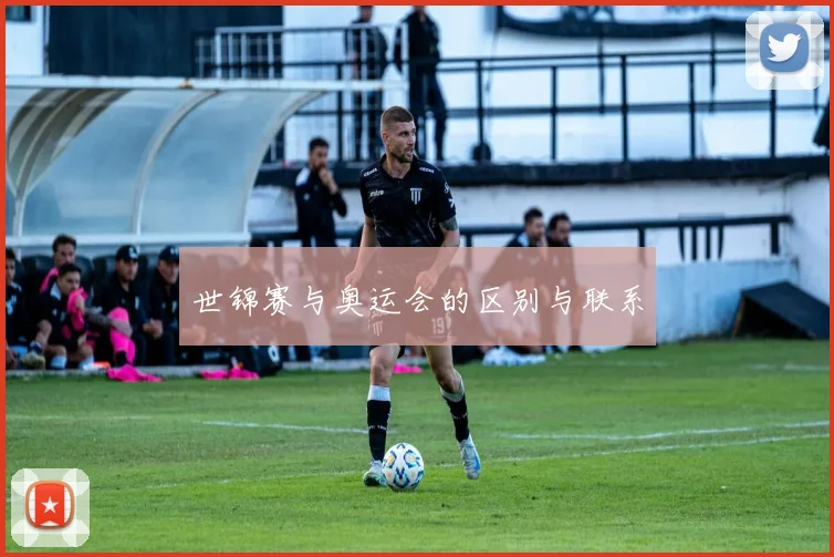 世锦赛与奥运会的区别与联系